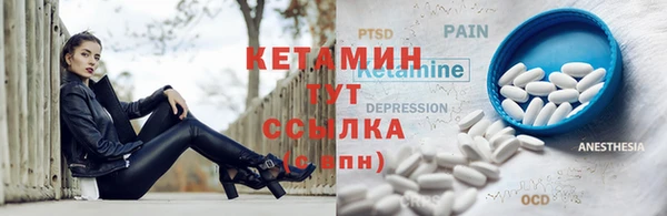стаф Тавда