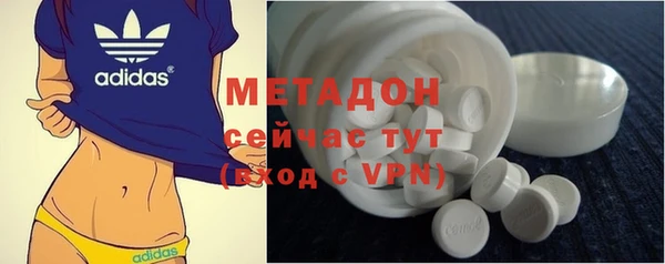 гашик Тайга