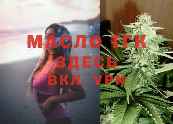 спиды Бородино