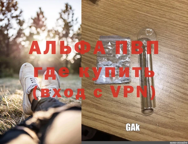 спиды Бородино