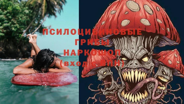 прущие крисы Балахна