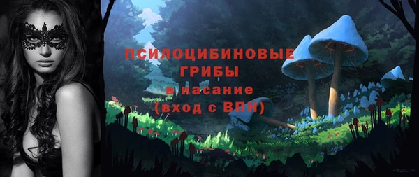 соль курить ск Бугульма