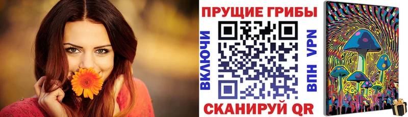 Галлюциногенные грибы Psilocybe  МЕГА маркетплейс  Суворов 